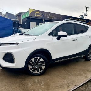 JAC JS3 2022